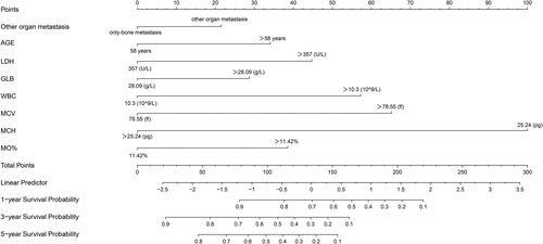 Figure 3. Nomogram for 1, 3, and 5-year OS prediction of the breast cancer patients with bone metastasis. Each prognostic factor was assigned a point on the scale, and the sum of the total points projected on the bottom scale represent the probabilities of 1, 3, and 5-year OS.