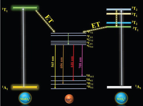 Figure 13. Schematic diagram of the energy transfer from MoO42– to the Sm3+ ion.