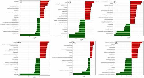 Figure 5. The difference multiples histogram based top ten differential metabolite contents in treatment MJ and BJ (Figure 5a), MJ and QJ (Figure 5b), MJ and YJ (Figure 5c), QJ and BJ (Figure 5d), YJ and BJ (Figure 5e), YJ and QJ (Figure 5f).