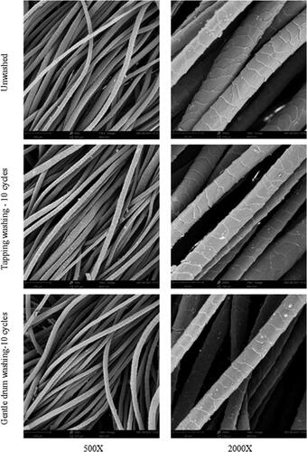 Figure 12. SEM images of wool fibers in fabric samples before or after 10 washing cycles using tapping washing and gentle drum washing methods.