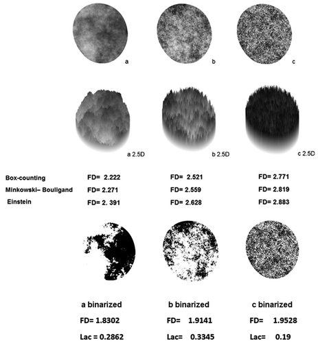 Figure 3. Three virtual dye-stained nuclei created ‘in silico’ with different chromatin texture subjected to transformation into pseudo-tree-dimensional (2.5D) landscape- like images but using the gray-value for the z-axis.Please note the increasing space-filling character when moving from image a to images b and c, accompanied by an increase in the FDs. Images had been subjected to three different fractal estimation techniques: box-counting [Citation153], or according to Minkowski-Bouligand [Citation115] or Einstein [Citation98]. Please note that besides the absolute values being different, the trend to higher FDs for more space-filling images is independent of the technique.In the lower third we see the three nuclei after binarizing according to the Otsu-algorithm with the respective box-counting fractal dimension and lacunarity values. Please note, that for the calculi the inverse images (with black background) were used.
