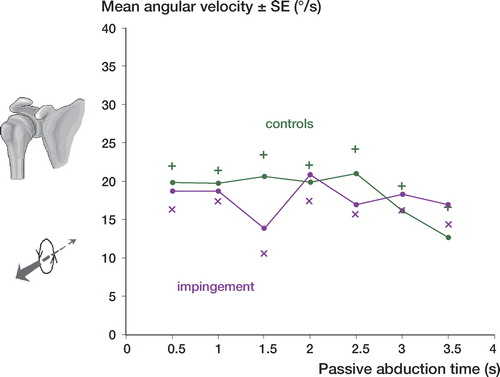 Figure 9. Angular velocity during passive abduction. Patients with impingement versus the control group. Mean SE (p = 0.7).