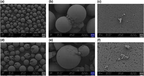 Figure 5. FE-SEM images of pure Sepabeads EC-EP (a) and modified ReliZyme HA403 (d), and cellulase immobilized onto Sepabeads EC-EP (b and c) and onto ReliZyme HA403 (e and f).