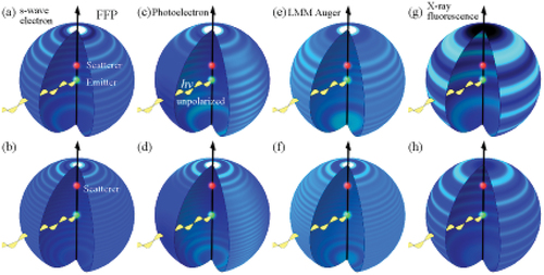 Figure 2. Examples of scattering pattern functions (SPF), which are the holographic patterns generated by single scatterer atom. (a) SPF of s-wave electron with Ek = 700 eV scattered by an Fe atom located at 0.3 nm. (b) In the case of the 0.6 nm atomic distance. (c), (d) SPF of photoelectron excited from np core-level electron by unpolarized light. (Ek = 700 eV). (e), (f) LMM Auger electron (f wave) case (Ek = 700 eV). (g) In the case of XFH. hν = 10 keV.