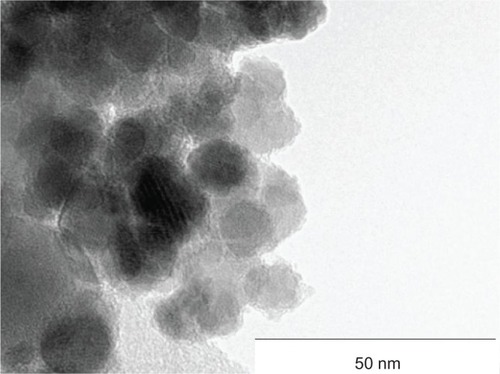 Figure 2 Transmission electron microscopy image of surface-active maghemite nanoparticles.