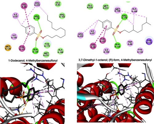 Figure 6 The interactions between two top-scoring ligands and the amino acids of the active site of the herpes simplex thymidine kinase (PDB ID: 1K12) depicted in 2D (top) and 3D (bottom). H-bonds, hydrophobic, and π-π stacking interactions are shown as green, light pink, and dark pink dotted lines, respectively.Abbreviation: PDB, protein data bank.