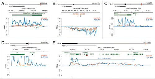 Figure 6. Regulation of transcription of miRNA genes of different sizes by serum stimulation. (A-E) Bru-seq traces for various miRNAs during starved conditions (orange trace) and following serum addition (blue trace).