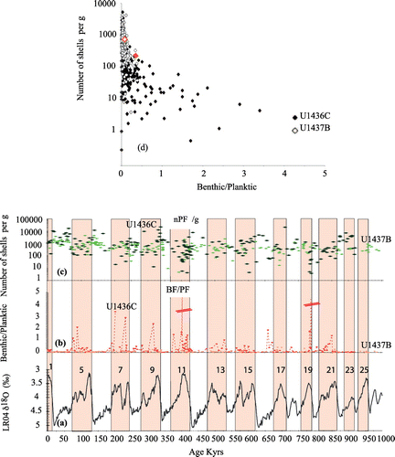 Figure 5. Coarse fraction-based carbonate dissolution proxies. (a) δ18O reference stack of Lisiecki and Raymo (Citation2005), with interglacial intervals Marine Isotopic Stages (MIS) highlighted by pink bars and numbered from 1 to 25 (MIS was omitted for clarity); (b) Ratio of whole benthic foraminifers over whole planktonic foraminifers (B/P) at each site (two samples are out of the scale >5); (c) All concentrations in whole planktonic foraminifers/gram at each site. On panels b and c, the values for site 1436C are figured with dark colors and 1437B with light ones; (d) Planktonic foraminifers concentration as a function of Benthic/Planktonic ratio for each site (empty diamonds 1437B, filled diamond 1436C), average (red diamonds). The two samples out of the scale at B/P >5 record PF concentration c. 1 per gram.