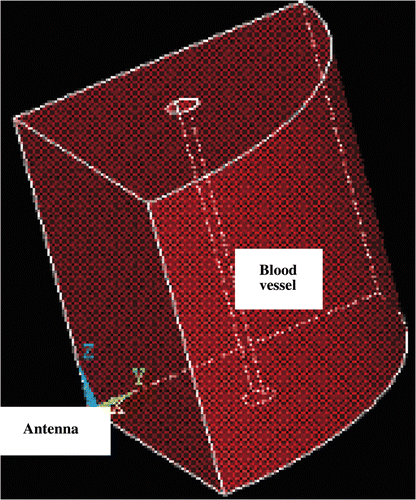 Figure 1. Sectional drawing of geometry model.