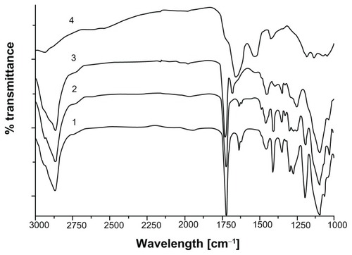 Figure 4 Fourier transform infrared spectra of (1) polyethylene glycol (PEG) diacrylate, (2) PEG hydrogel-coated magnetic iron oxide nanoparticles, (3) PEG hydrogel-coated magnetic iron oxide nanoparticles functionalized with arginine-glycine-aspartic acid-serine, and (4) arginine-glycine-aspartic acid-serine.