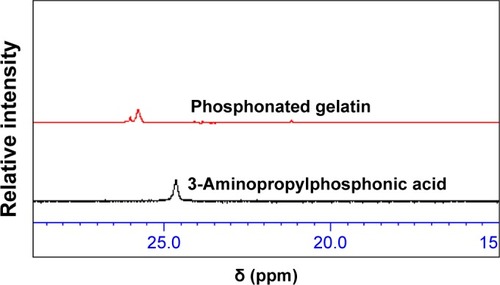 Figure 2 31P NMR spectra of 3-aminopropylphosphonic acid and phosphonated gelatin in the presence of phosphoric acid as the standard (0 ppm).Abbreviation: 31P NMR, 31P nuclear magnetic resonance.