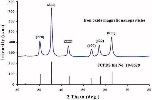 Figure 4. XRD spectrum patterns of iron oxide magnetic nanoparticles synthesized by leaf extract of Albizia adianthifolia. The structure of MNPs was matched with the Joint Committee on Powder Diffraction Standards (JCPDS, file No. 19-0629).