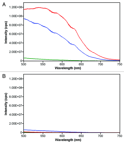 Figure 3. 90° light-scattering spectra of Herceptin® (red), Avastin® (blue) and Remicade® (green) mixed with human plasma in 5% dextrose (A) or 0.9% NaCl in water (B). Ten microliters of human plasma were mixed with 3 ml of 5% dextrose (A) or 0.9% NaCl solutions (B). After recording the 90° light-scattering spectra of the human plasma dextrose or human plasma NaCl mixtures, 20 μl of Herceptin® or Avastin® or 40 μl of Remicade® antibody stock solutions were added in the cuvettes. The final antibody concentrations in the cuvettes were 0.14 mg/ml, 0.17 mg/ml and 0.13 mg/ml for Herceptin®, Avastin® and Remicade®, respectively. The 90° light-scattering spectra were recorded within 2 min after mixing the antibodies with 5% dextrose-plasma or 0.9% NaCl-plasma. The scatter spectra of the human plasma were subtracted from the scatter spectra of plasma with antibodies.