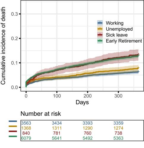 Figure 3 Cumulative incidence curves for mortality. At risk table display COPD patients who has not died.