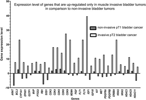 Figure 3. Relative expression level of genes of PAHS-507 Z and PAHS-004 PCR chips of non-invasive (pT1) and muscle-invasive (pT2) bladder tumors.Note: 4.0-fold change in gene expression was used as cut-off threshold to determine upregulation or downregulation compared to negative control.