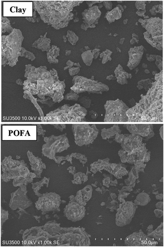 Figure 3. SEM images of the clay and POFA used to manufacture bricks