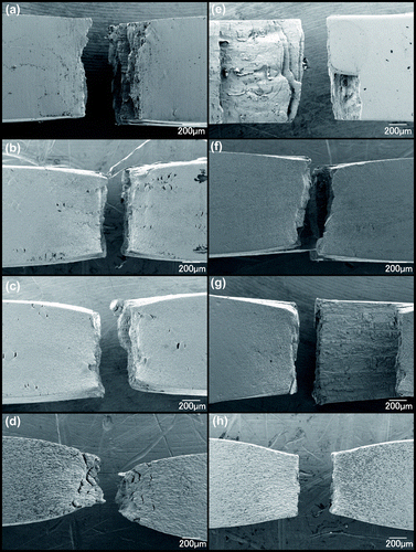 Figure 4. SEM images of the specimen surfaces observed from the normal direction after tensile tests at room temperature ((a)–(d)) and 100 K ((e)–(h)). The tensile tests were continued until the specimens ruptured after local deformation. (a), (e) as-ARB-processed specimen and specimens with a grain size of (b), (f) 0.43 μm; (c), (g) 2.0 μm; and (d), (h) 9.3 μm.
