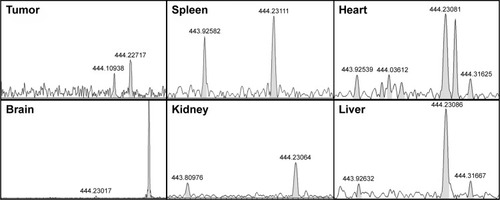 Figure 21 MS spectra of organ homogenate in NDCONH(CH2)2NH-VDGR/survivin-siRNA group. RGDV (m/z): 444.22012 [M-H]−.Abbreviations: MS, mass spectrometry; siRNA, small interfering RNA.