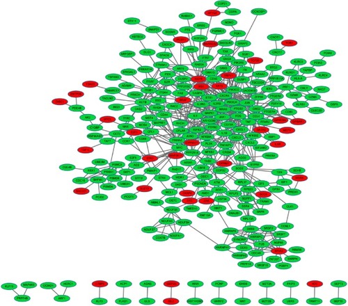 Figure 1 The constructed protein–protein interaction network of differentially expressed genes (DEGs).