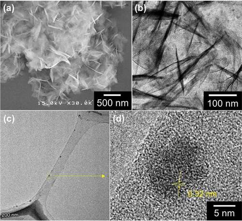 Figure 3. (a) SEM and (b) TEM images of the obtained powder via hydrothermal synthesis using a precursor containing zinc acetate, urea and diammonium hydrogen citrate. (c) TEM image of the supernatant carbon dots obtained as the side-product besides the powder in the same reaction pot as (a) and (b). (d) HR-TEM image of a carbon dot located in the dashed circular yellow line in (c)