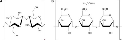 Figure 1 Chemical structure of NCC (A) and SCS (B).Abbreviations: NCC, nanocrystalline cellulose; SCS, sodium carboxymethyl starch.