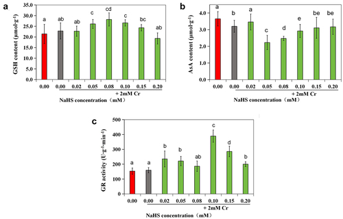 Figure 7. Effects of exogenous H2S on the GSH content (a), AsA content (b), and GR activity (c) in alfalfa under 2 mM Cr(III) stress for 5 days after seed planting.