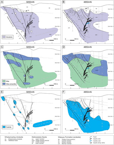 Figure 11. Cross sections along the 5050mN and 4850mN drill lines showing the distribution of alteration minerals at the Golden Cross deposit. A, And B, adularia, C, and D, illite and illite-smectite, E, and F, calcite (modified Simpson et al. Citation2001). The occurrence of chlorite is not shown as it is ubiquitous. Circles show sample locations. Cross section locations are shown in figure 2C. RSL = relative current sea level.