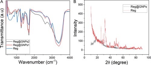Figure 3. (A) FTIR spectral analysis of Reg and Reg@GNPs nanoconjugates. (B) Power X-ray diffraction spectral analysis of Reg and Reg@GNPs nanoconjugates.