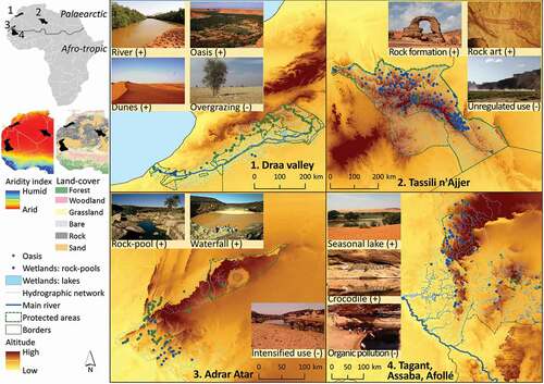 Figure 3. The wetlands of the west Sahara-Sahel. Location of four hydrographic networks in the African context (left insets), distribution of 696 wetlands and 181 oases, and a selection of pictures of values (+) and pressures (-) associated to wetlands