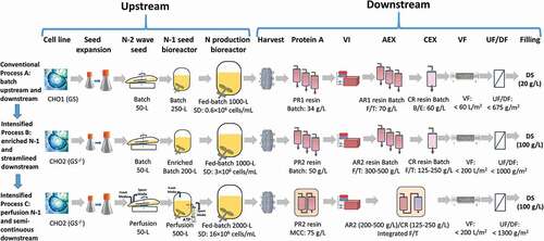 Figure 1. Biomanufacturing diagrams for Process A (conventional fed-batch at 1000-L scale, n = 5), Process B (intensified fed-batch by enriched N-1 at 1000-L scale, n = 8), and Process C (intensified fed-batch by perfusion N-1 at 2000-L scale, n = 3).