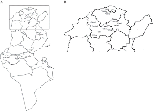 Figure 1 Geographical sites of wild olive trees and ‘Chétoui’, and ‘Chemlali’, two main cultivars of olives. (a) Tunisia map, and (b) locations details.