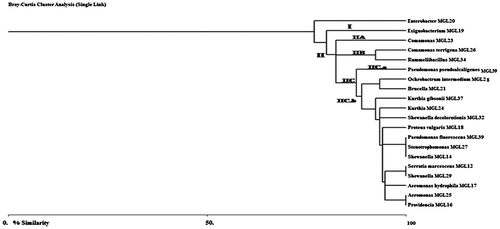 Figure 3b. Dendrogram based on HaeIII fingerprints depicting the phylogenetic relatedness of 20 bacterial isolates.