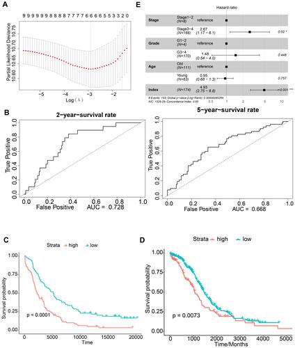 Figure 2 Construction of the immune-related prognostic signature for ovarian serous cystadenocarcinoma. (A) Determination of the six model characteristic genes by least absolute shrinkage and selection operator analysis. (B) Time-dependent receiver operating characteristic (tROC) curves to evaluate the ability of the signature index to predict 2-year and 5-year survival in the GSE53963 dataset. (C and D) Survival probability in the GSE53963 and The Cancer Genome Atlas datasets. (E) Forest plot of the signature index.