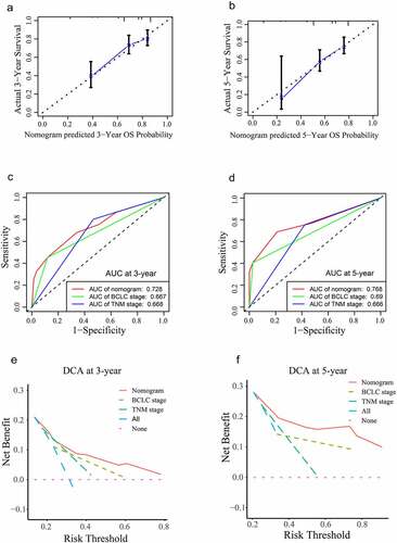 Figure 10. Validation of the nomogram. (a, b) Calibration curves of the nomogram for predicting OS at 3 years (a) and 5 years (b). (c, d) The accuracies of the nomogram, BCLC stage and TNM stage at 3 years (c) and 5 years (d) were evaluated by ROC analyses. (e, f) The DCA results showed that the nomogram had the highest benefit compared to the BCLC stage and TNM stage.