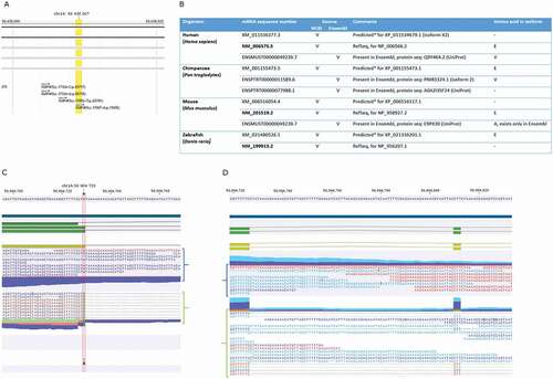 Figure 3. RNA variants in the MAP4K5 gene