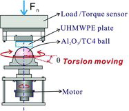 Figure 1. Schematic diagram of the torsional fretting tester under a ball-on-flat contact.