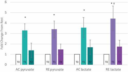 Figure 3. Glucose Metabolism is higher at T1 for RE. (T1) for aerobic (AC) and anaerobic exercise (RE). After 1-hour of recovery (T2) the pro-inflammatory metabolites returned to baseline following AC, but remained elevated following RE.