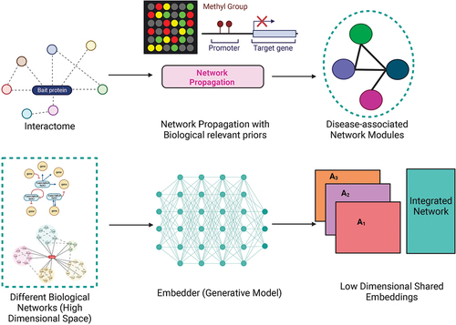 Figure 3. The top panel illustrates the application of methods like network propagation on biological networks guided by priors like expression and epigenetic information to uncover disease/trait relevant subnetworks or modules. The bottom panel depicts the recent use of generative deep learning models to integrate different biological networks in a transformed (reduced dimension) space.
