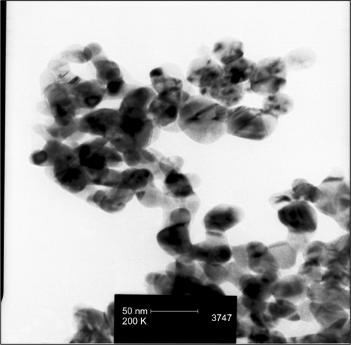 Figure 1 TEM image showing nanosilver particles of sizes <100 nm.