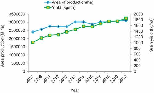 Figure 1. Tef production trend from 2007 to 2020 in Ethiopia (million hectares) and grain yield (kg/ha).