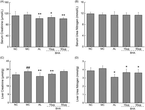 Figure 6. (A) The effects of AL and BHA on the serum level of Cr in hyperuricemic mice. (B) The effects of AL and BHA on the serum level of urea nitrogen in hyperuricemic mice. Data are expressed as mean ± S.D. (n = 10) and were analyzed via a one-way ANOVA test followed by post hoc Dunn’s multiple comparison tests. ##p < 0.01 versus normal control, *p < 0.05 and **p < 0.01 versus model control.