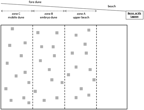 Figure 2. Sampling design on the four candidate reference ecosystem sites (see Table 1) and on the Jaï site.