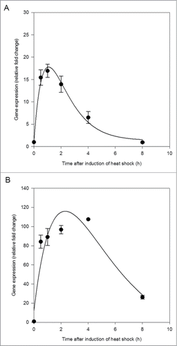 Figure 1. Heat shock protein 40 (HSP40) expression (A) and heat shock protein 70 (HSP70) expression (B) in the central nervous system of Lymnaea stagnalis following exposure to thermal stress. Data are means ± SE from replicate samples at each time point. Critical exponential curve fitted to the data (HSP40, R2 = 0.99, p = 0.0202; HSP70, R2 = 0.88, p = 0.1767).