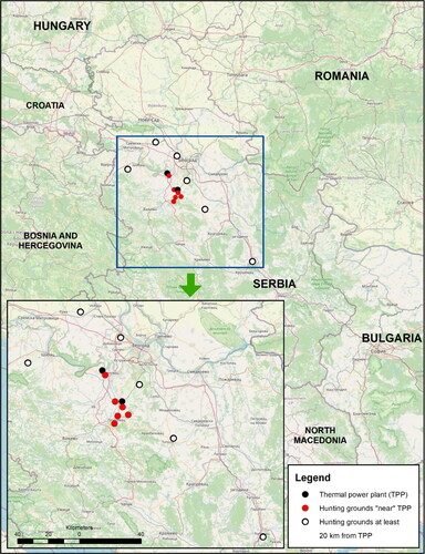 Figure 1. Location of hunting grounds in relation to thermal power plants: a large map shows the location of thermal power plants and hunting grounds in Serbia (framed part) in relation to neighboring countries; the small map represents an enlarged, framed part of the large map, with a scale that provides information about the distance between thermal power plants (TPP - black dots), hunting grounds near the TPP - red dots and hunting grounds located at a greater distance from the TPP - white dots (source of the map: https://www.openstreetmap.org/about).