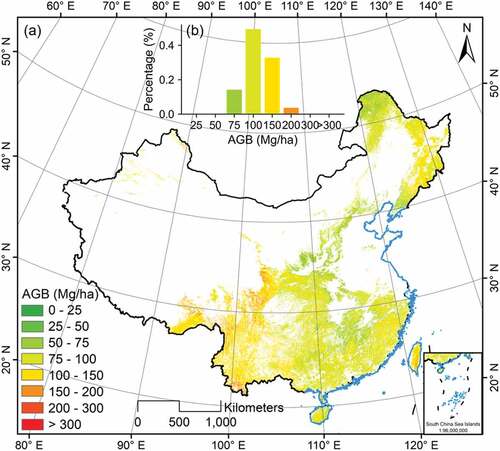 Figure 4. (a) Spatial pattern of forest AGB of China. (b) the percentage of forest AGB at different levels.