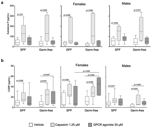 Figure 6. CGRP, but not substance P production by DRG neurons is higher in GF females after GPCR activation. (a) SPproduction in DRG neurons cultured ex vivo from SPF and GF mice of both sexes in response to vehicle (HBSS), capsaicin (1.25 μM) or GPCR agonists (30 μM). Data are expressed as box plots (10–90%ile) with n = 3 independent experiments of 1–4 wells per condition for SPF male/SPF female mice and GF male/GF female mice. (b) CGRP production in DRG neurons cultured ex vivo from SPF and GF both sexes in response to vehicle (HBSS), capsaicin (1.25 μM) and GPCR agonists (30 μM). Data are expressed box plots (10–90%ile); n = 4 independent experiments of 2-wells per condition for SPF male; n = 3 independent experiments (n = 2–4) for SPF female, GF male and GF female mice. Statistical analysis was performed using Kruskal-Wallis followed by Dunn’s post hoc test.