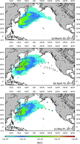 Figure 2 Horizontal distribution of sea surface 134Cs obtained by simulation with the initial source term on (a) March 20, (b) April 10, and (c) May 1. Colors of circles in the figures represent observed sea surface concentration of 134Cs at sampling points (b) from March 31 to April 18 and (c) from April 21 to May 17, 2011