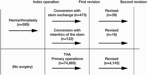 Figure 1. Breakdown of conversion THA and all other primary operations in the arthroplasty register: the group of 473 conversions with stem exchange received a revision femoral stem and a primary acetabular cup. The group of 122 conversions with retention of the stem received only a primary acetabular cup.