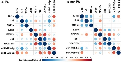 Figure 3 miR-92b-5p and miR-223-3p correlated with the clinical parameters of bronchiectasis. (A) Correlation matrix in PA group. (B) Correlation matrix in non-PA group. In both matrices, the lower left quadrant of the matrix represents the crude P values, and the upper right quadrant of the matrix presents the P values corrected with the Benjamini–Hochberg algorithm. The intersection within the circle represents the adjusted P value >0.05. Blue circle indicate positive correlation, while red circles denote negative correlation. Greater color intensity indicates a greater magnitude of correlation (correlation coefficient).