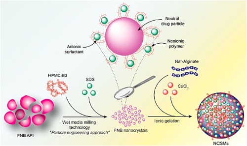 Figure 9 A schematic illustration of fentofibrate nanocrystals (FNB-NCs).Notes: Reproduced from Kevadiya BD, Chen L, Zhang L, Thomas MB, Davé RN. Fenofibrate Nanocrystal Composite Microparticles for Intestine-Specific Oral Drug Delivery System. Pharmaceuticals. 2019;12(3):109-124Citation329
